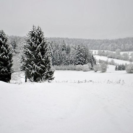 Fewo Radi An Der Buchberger Leite Lägenhet Hohenau Exteriör bild