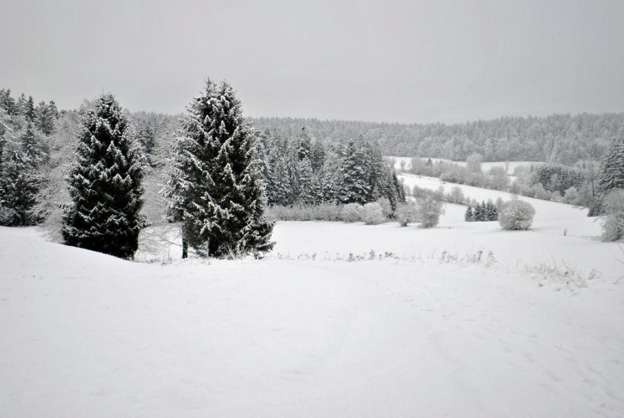 Fewo Radi An Der Buchberger Leite Lägenhet Hohenau Exteriör bild