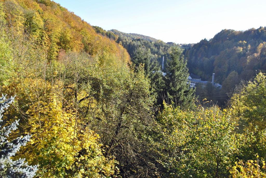 Fewo Radi An Der Buchberger Leite Lägenhet Hohenau Exteriör bild