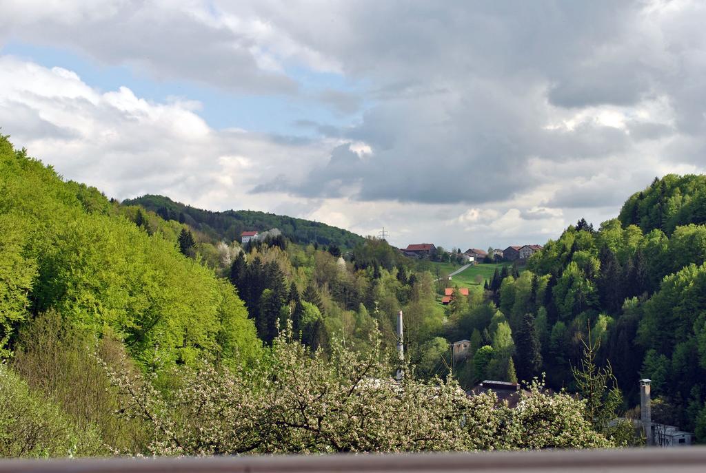 Fewo Radi An Der Buchberger Leite Lägenhet Hohenau Exteriör bild